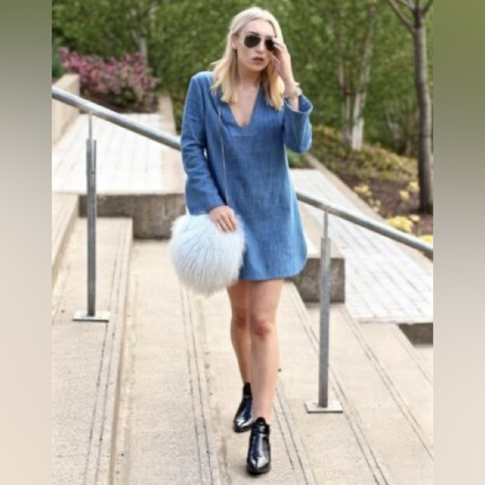 Zara Denim Dress